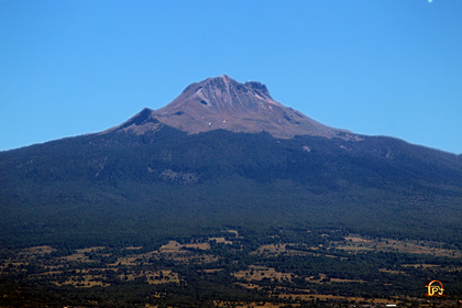 malinche