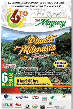 6to milenaria maguey