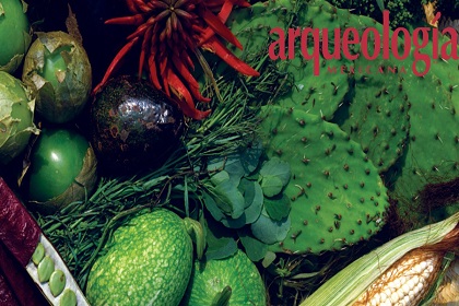 alimentaoo