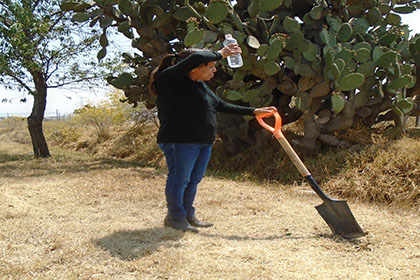 Temporada de calor