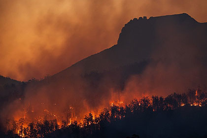 INCENDIOS FORESTALES: EVÍTALOS